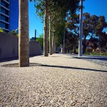 Public Tree Surround, Caulfield